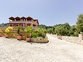 05 Anemomilos Studios Zakynthos Zante Greece