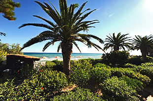 ���������� �������� ������ - Argassi beach hotel - ���������� �������� ������