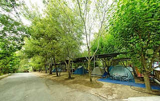 zakynthos campings zante