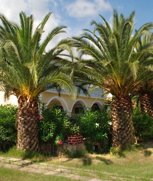 Litsa Studios Tsilivi zante Zakynthos Greece