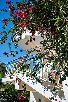 Zakynthos Studios in Zante - Plessas Studios - Tsilivi Zante Greece