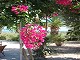 04 Villa Kapnisi Zakynthos Zante Greece