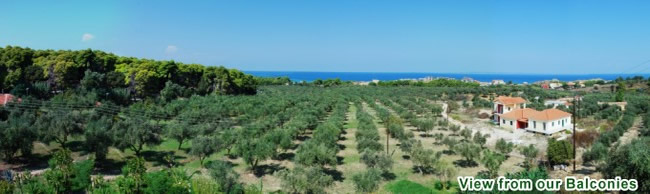 Villaggio Studios Apartments - Vasilikos Zante Zacinto Grecia
