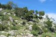 Askos Stone Park Volimes Zante Zakynthos