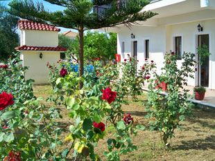 Red Rose Garden -  &  -  